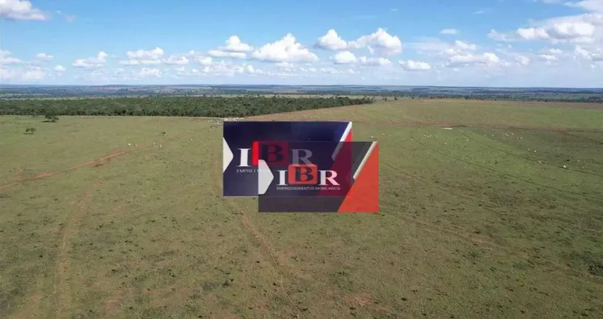 Fazenda à venda na Zona Rural, Chapadão do Sul
