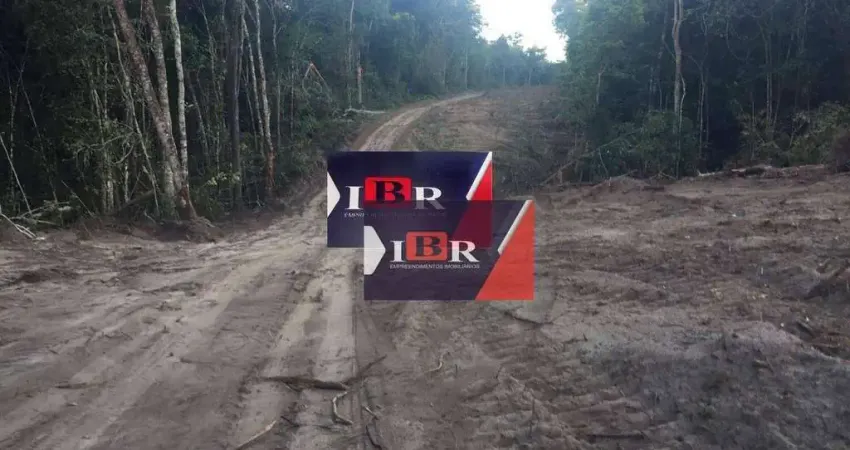 Fazenda à venda na Zona Rural, Sapezal