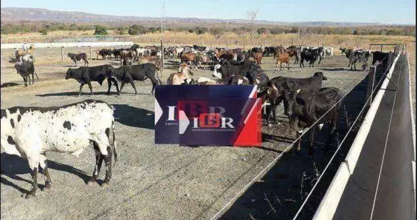 Fazenda à venda no Vivendas Paraíso, Águas Lindas de Goiás