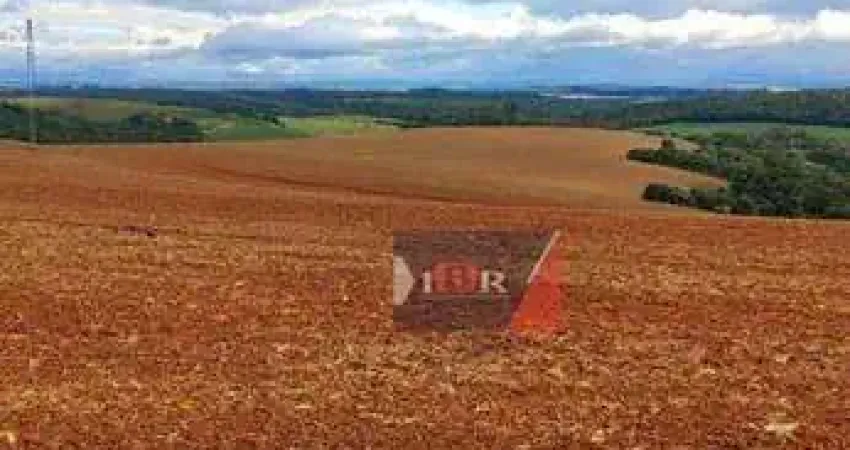 Fazenda à venda na Rua Rúbens Brasi, Área Rural de Itapetininga, Itapetininga