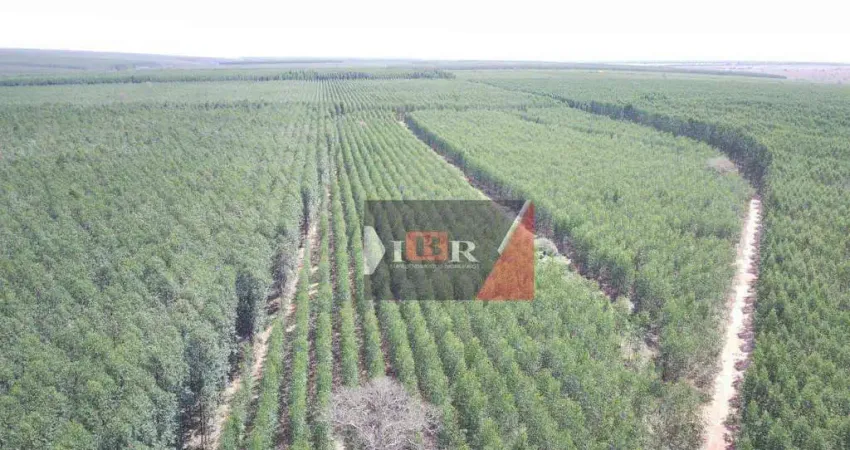 Fazenda à venda na Zona Rural, Cassilândia