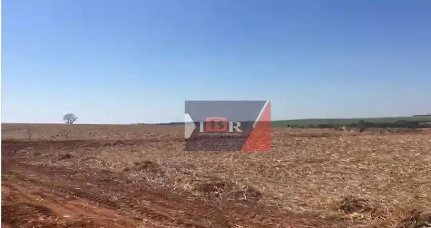 Fazenda à venda na Vila Nova Iacanga, Iacanga