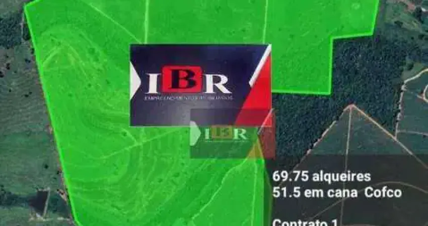 Fazenda à venda na Rua Rio Grande do Sul, Zona Rural, Fernandópolis