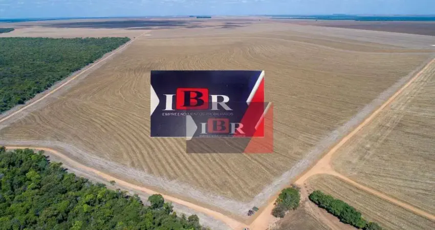 Fazenda à venda na Zona Rural, Campo Novo do Parecis