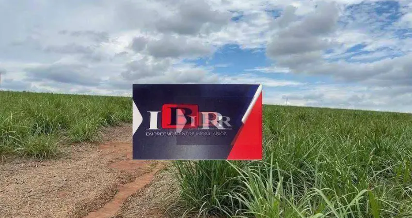 Fazenda à venda na Avenida Ipê Branco, Área Rural de Araraquara, Araraquara