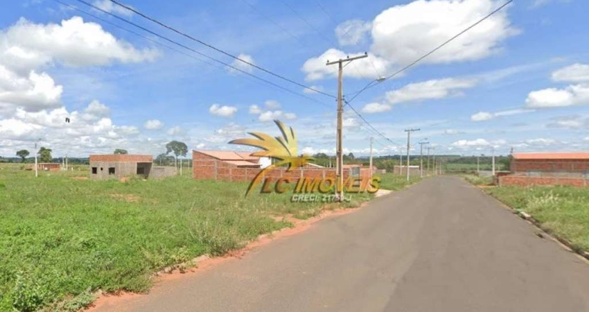 Terreno à venda no Centro, Cardoso 