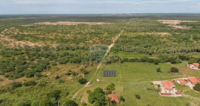 'Investimento Único: Fazenda Comercial no RN'