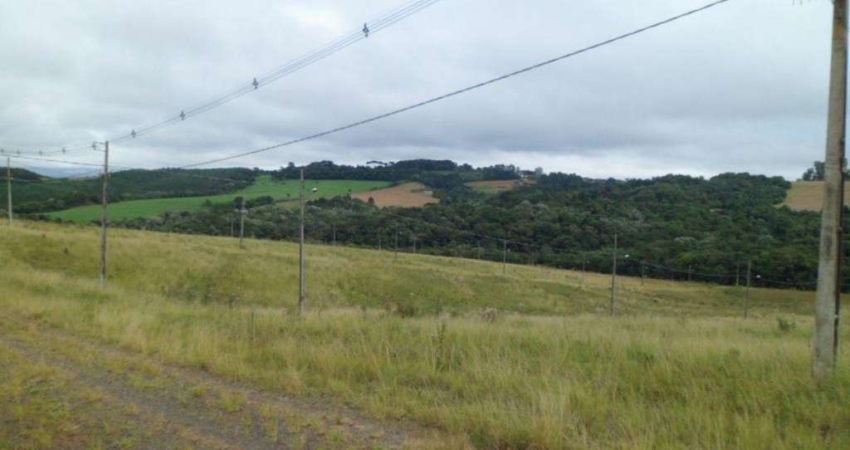 Terreno à venda no Piriquitos, Ponta Grossa 