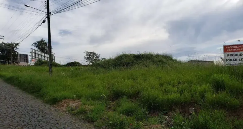 Terreno comercial para alugar no Centro, Ponta Grossa 