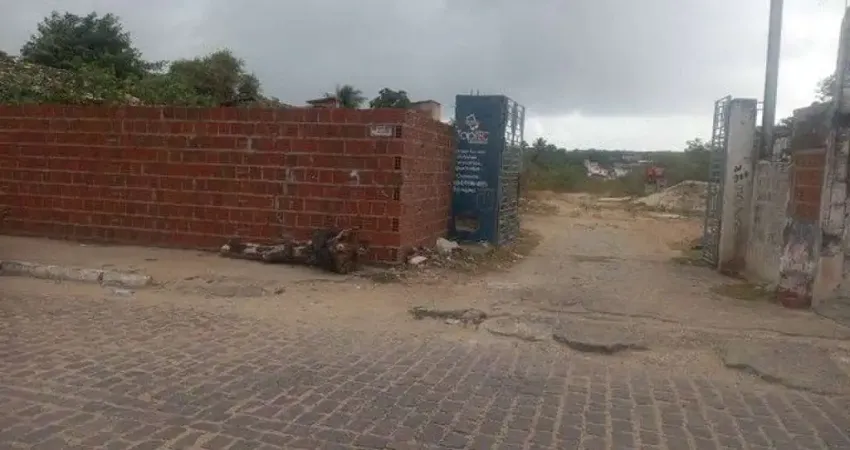 Terreno à venda, 6312 m² por R$ 1.000.000 - Ponta Negra - Natal/RN