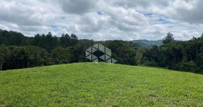 Terreno com 6.000,00m² em águas mornas  - sc, próximo a br-282.