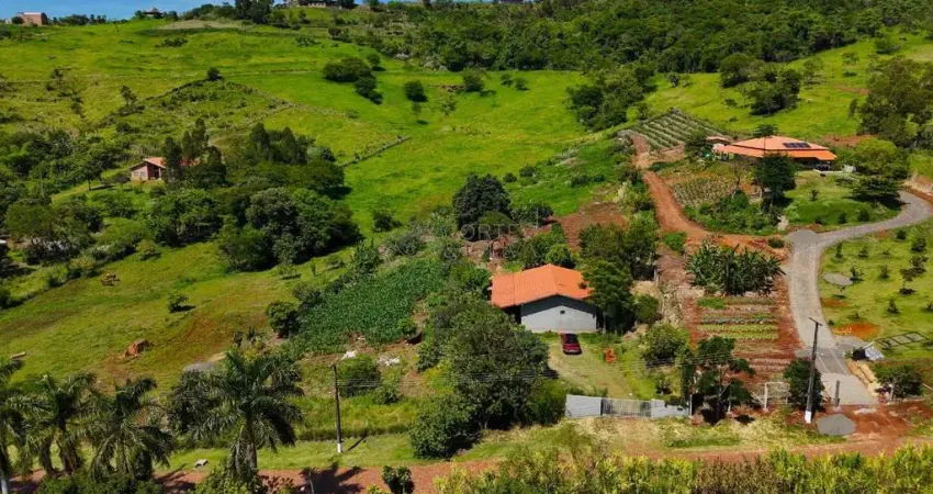 Chácara / sítio com 5 quartos à venda na Chácaras Itaúna, Ibiporã