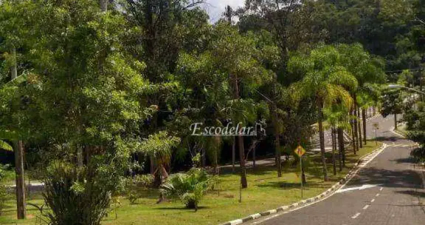Terreno à venda, 340 m² por R$ 1.100.000,00 - Tucuruvi - São Paulo/SP