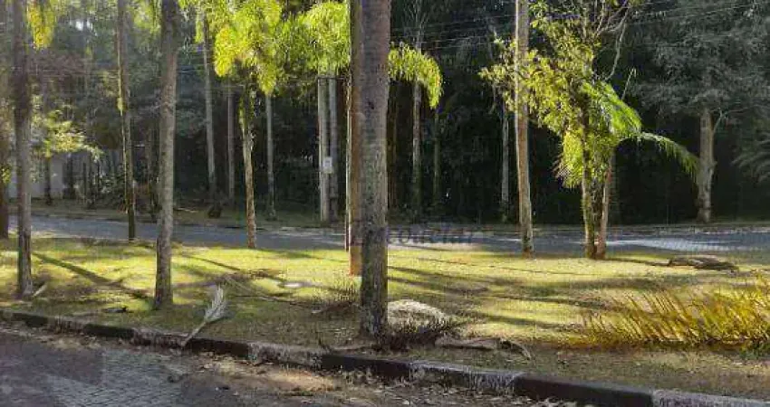 Terreno à venda, 293 m² por R$ 1.000.000,00 - Tucuruvi - São Paulo/SP