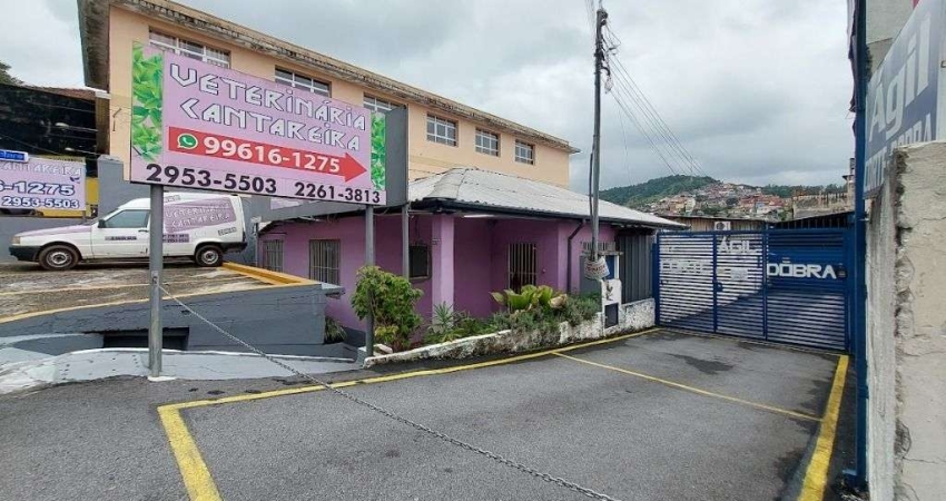 Terreno à venda, 720 m² por R$ 1.530.000,00 - Vila Albertina - São Paulo/SP