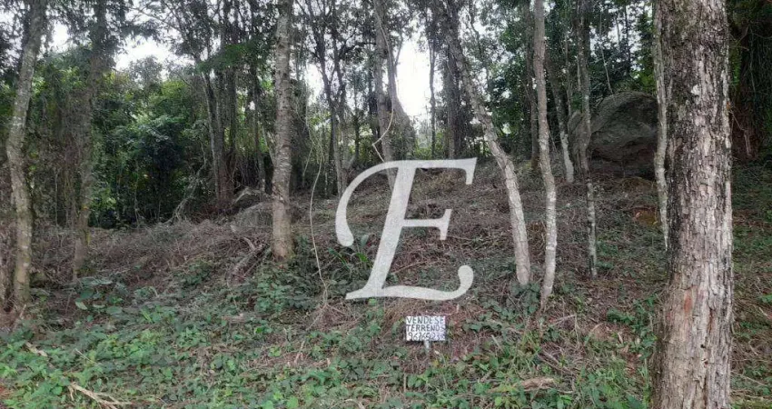 Terreno à venda, 410 m² por R$ 372.000,00 - Jardim Peri - São Paulo/SP