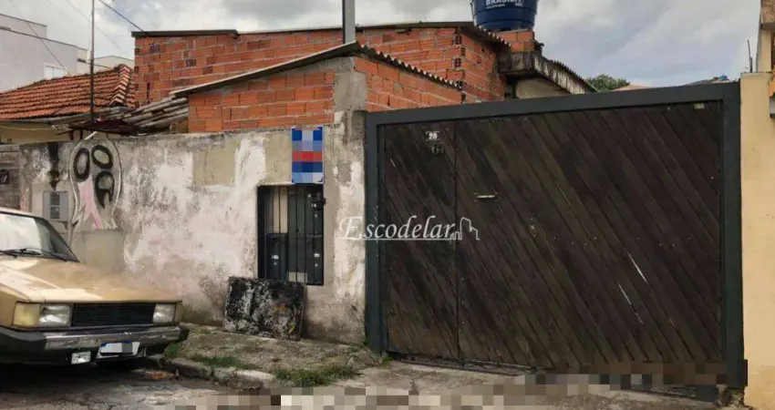 Terreno à venda, 250 m² por R$ 1.200.000,00 - Vila Gustavo - São Paulo/SP