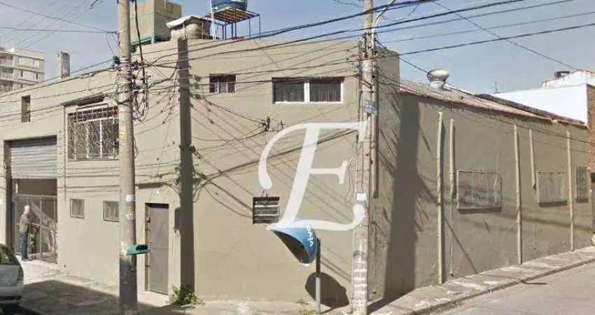 Galpão à venda, 250 m² por r$ 1.600.000,00 - vila guilherme - são paulo/sp