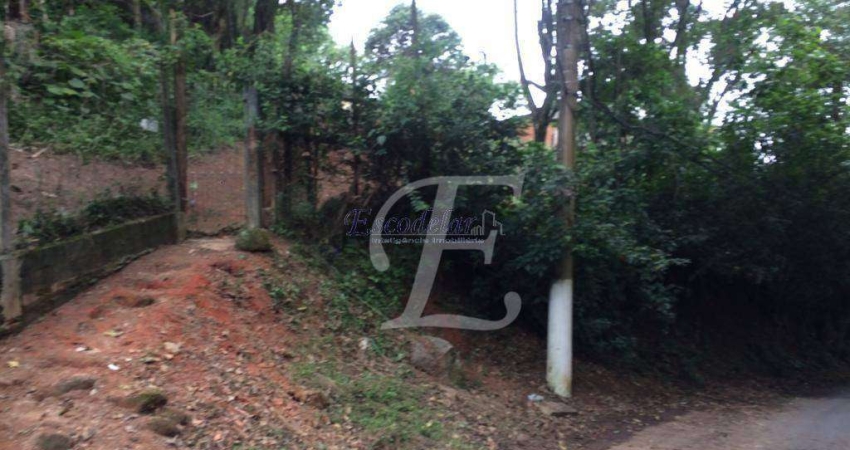 Terreno à venda, 980 m² por R$ 700.000,00 - Vila Irmãos Arnoni - São Paulo/SP