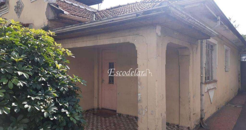 Terreno à venda, 252 m² por R$ 850.000,00 - Vila Gustavo - São Paulo/SP