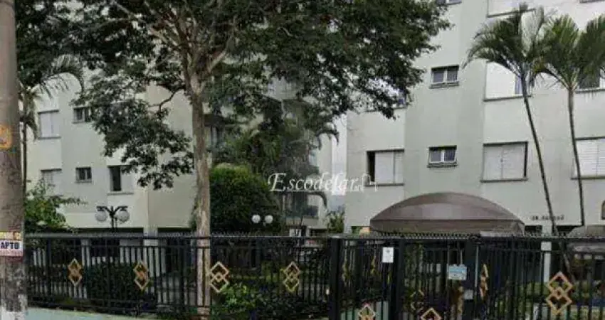 Apartamento com 2 dormitórios à venda, 72 m² por r$ 330.000,00 - vila amélia - são paulo/sp