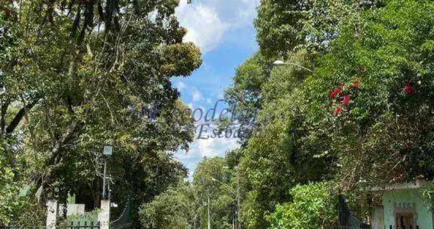 Terreno à venda, 3030 m² por R$ 1.460.000,00 - Roseira - Mairiporã/SP