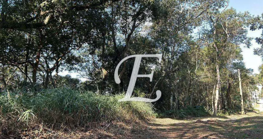 Terreno à venda, 1200 m² por R$ 270.000,00 - Caraguatá - Mairiporã/SP