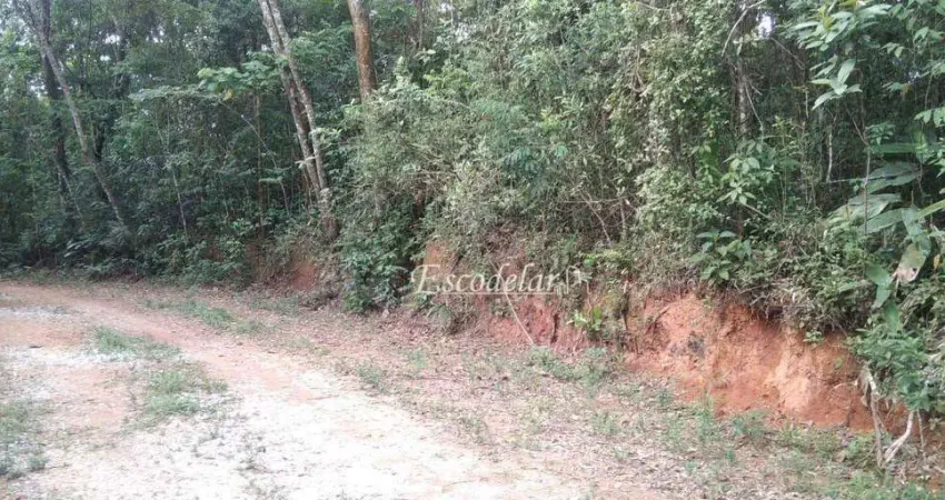 Terreno à venda, 1115 m² por R$ 150.000,00 - Serra da Cantareira - Mairiporã/SP