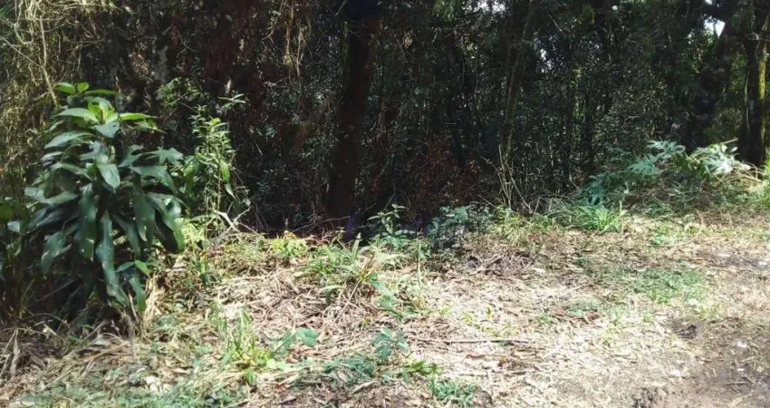 Terreno em condomínio fechado à venda na Rua Pio XII, Caraguatá, Mairiporã