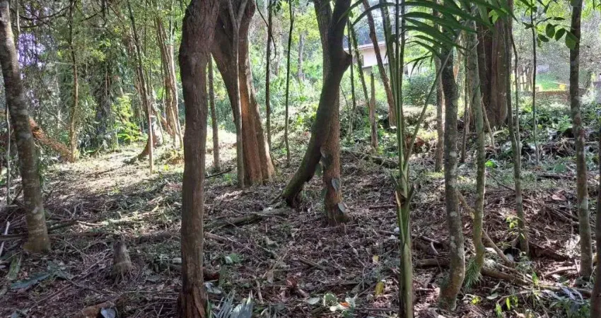 Terreno à venda, 940 m² por R$ 198.000,00 - Roseira - Mairiporã/SP