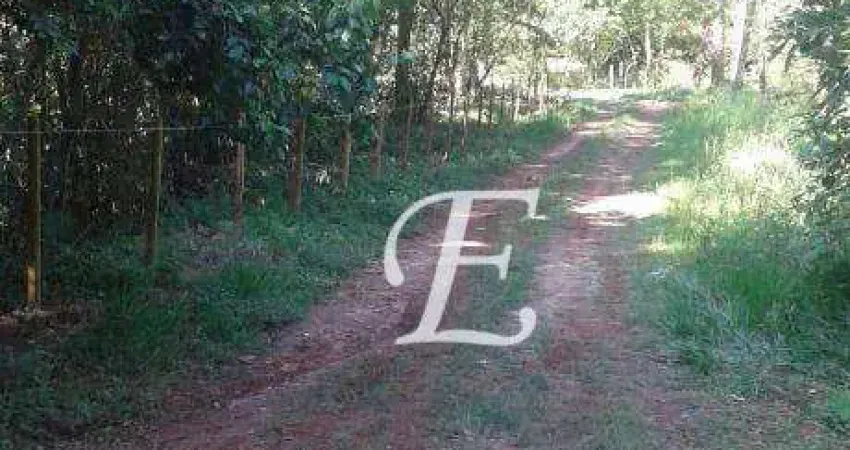 Terreno à venda, 1000 m² por R$ 230.000,00 - Roseira - Mairiporã/SP
