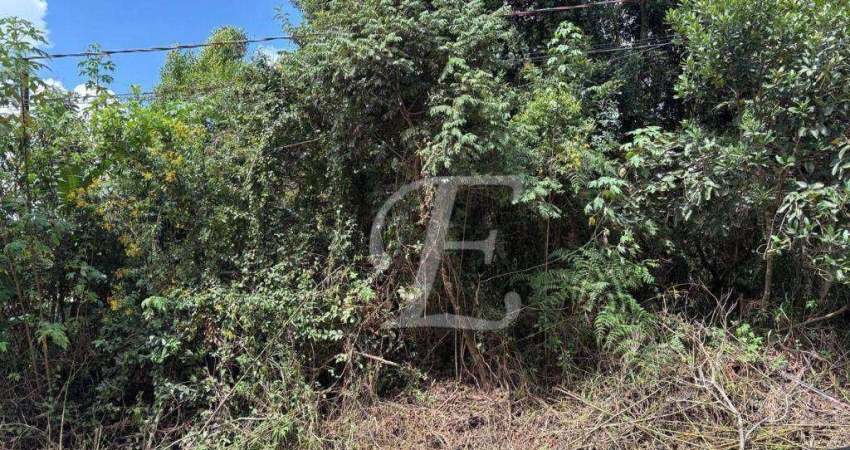 Terreno à venda, 1500 m² por R$ 220.000,00 - Caraguatá - Mairiporã/SP