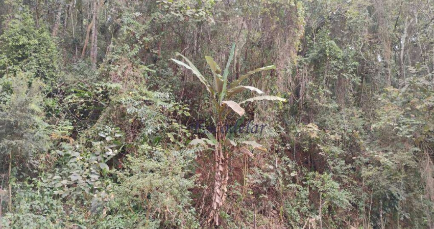 Terreno à venda, 1100 m² por R$ 130.000,00 - Roseira - Mairiporã/SP