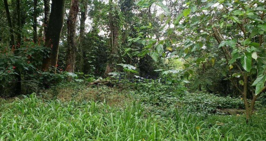 Terreno à venda, 1100 m² por R$ 350.000,00 - Alpes da Cantareira - Mairiporã/SP