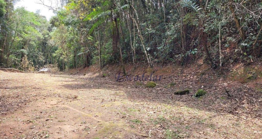 Terreno à venda, 1281 m² por R$ 255.000,00 - Condomínio Champs-Élysée Serra da Cantareira - Mairiporã/SP