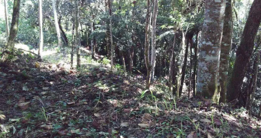 Terreno à venda, 1789 m² por R$ 500.000,00 - Alpes da Cantareira - Mairiporã/SP