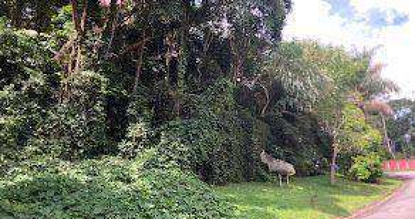 Terreno à venda, 896 m² por R$ 245.000,00 - Parque Petrópolis - Mairiporã/SP