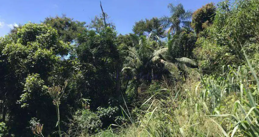 Terreno à venda, 840 m² por R$ 372.000,00 - Parque Petrópolis - Mairiporã/SP