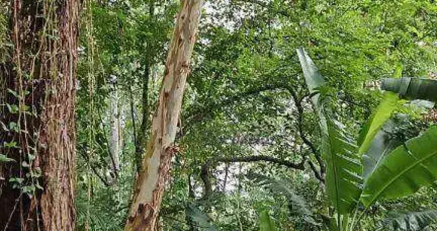 Terreno à venda no Sausalito, Mairiporã 