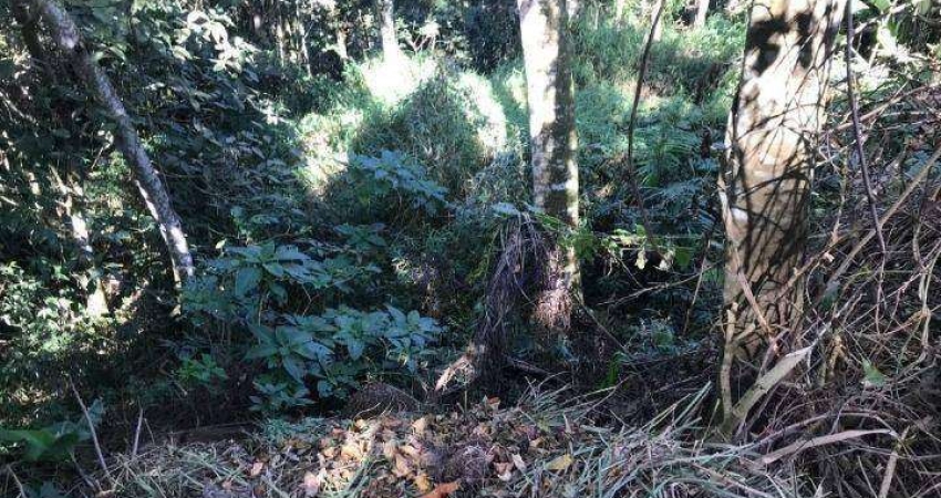 Terreno à venda, 1350 m² por R$ 260.000,00 - Alpes da Cantareira - Mairiporã/SP