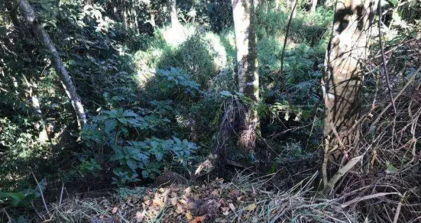 Terreno à venda, 1350 m² por r$ 270.000,00 - alpes da cantareira - mairiporã/sp