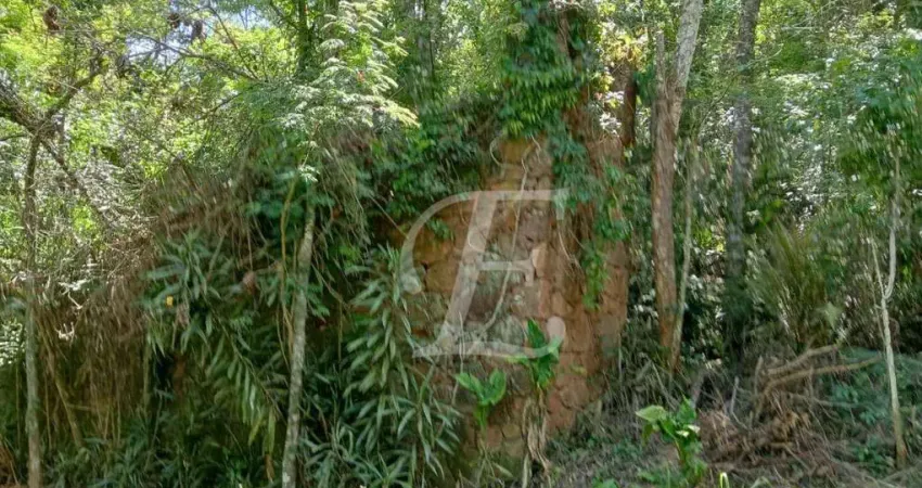 Terreno à venda, 2400 m² por R$ 345.000,00 - Caraguatá - Mairiporã/SP