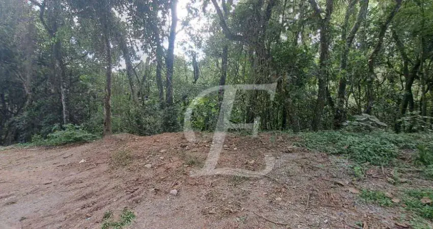 Terreno à venda, 1083 m² por R$ 200.000 - Serra da Cantareira- Mairiporã/SP