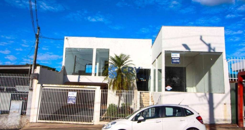 Loja para alugar, 300 m² por R$ 18.400,00/mês - Centro - Londrina/PR