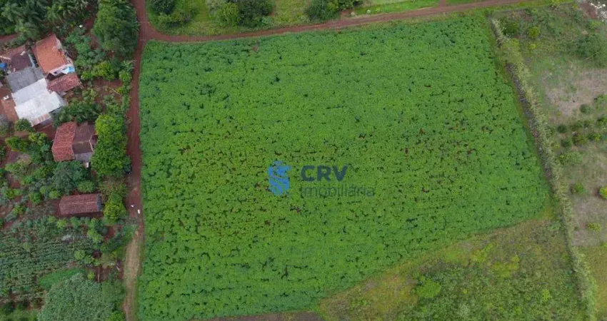 Chácara com 1 dormitório à venda, 20405 m² por R$ 800.000,00 - Limoeiro - Londrina/PR