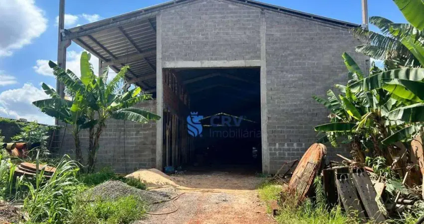 Barracão, 750 m² - venda por R$ 2.900.000,00 ou aluguel por R$ 20.000,00/mês - Bandeirantes - Londrina/PR