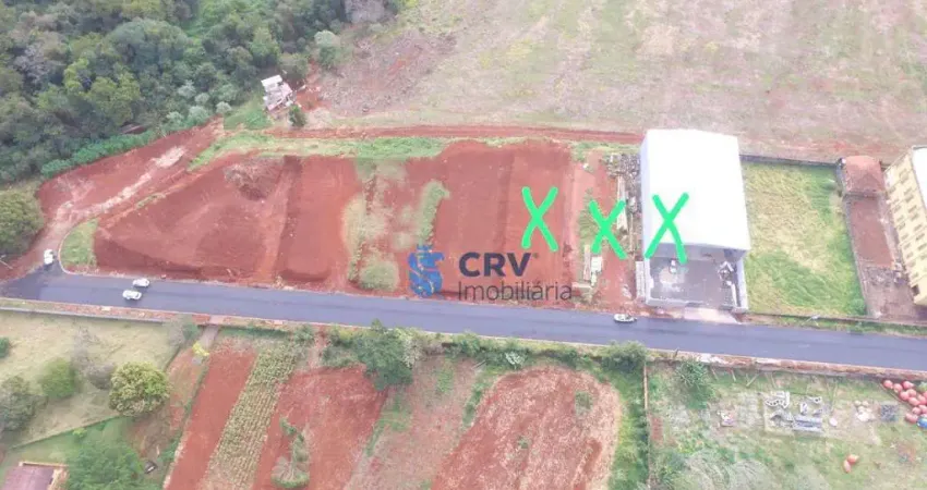 Barracão, 2400 m² - venda por R$ 12.000.000,00 ou aluguel por R$ 75.000,00/mês - Cilo 2 - Londrina/PR