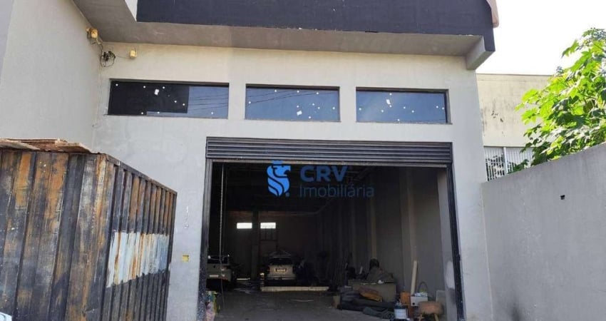 Barracão para alugar, 395 m² por R$ 4.500,00/mês - Novo Antares - Londrina/PR