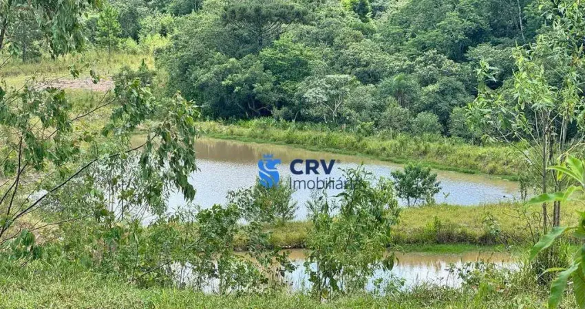 Sítio à venda, 62920 m² por r$ 700.000,00 - centro - tamarana/pr