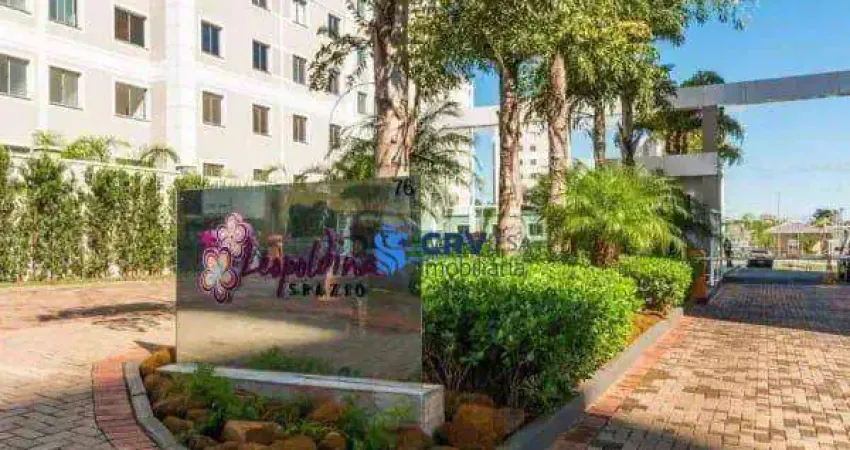 Apartamento com 2 dormitórios à venda, 46 m² por r$ 250.000,00 - gleba fazenda palhano - londrina/pr